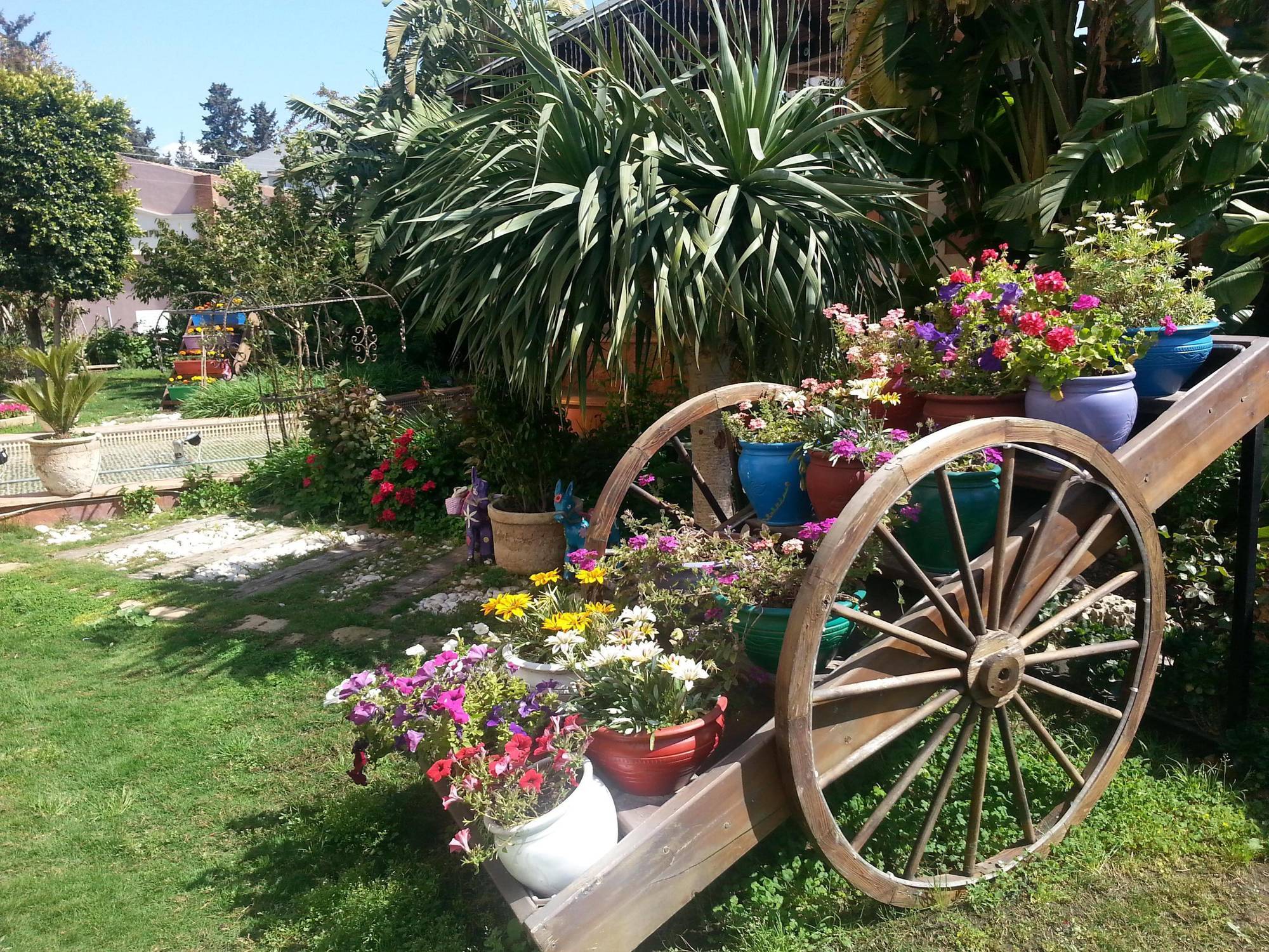 Merit & Casino 5* Nikosia